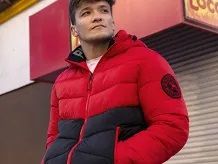 Pitbull dzsekik