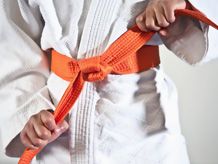 Karate övek