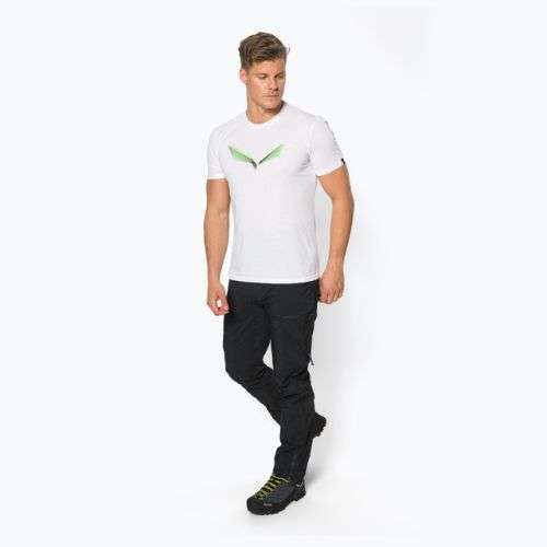 Férfi Salewa Lines Graphic Dry trekking póló fehér 00-0000028065