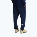 Férfi trekkingnadrág The North Face Simple Dome Light Regular Tapered Jogger summit navy 3