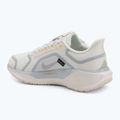 Férfi futócipő Nike Pegasus 41 GTX sail/football grey/sundial/ashen slate 3