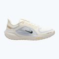 Férfi futócipő Nike Pegasus 41 GTX sail/football grey/sundial/ashen slate 8