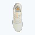 Férfi futócipő Nike Pegasus 41 GTX sail/football grey/sundial/ashen slate 10