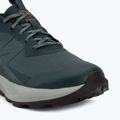 Férfi túracipő Salomon Elixir Activ GTX scarab/green gable 7