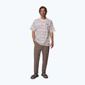 Férfi póló Columbia CSC Heavyweight Printed Tee sea salt/horizons 2