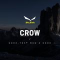 Salewa férfi magas alpesi bakancs Crow GTX barna 00-0000061328 12