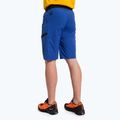 Férfi Salewa Agner Light túranadrág kék 00-0000027380 3