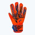 Reusch Attrakt Starter Grip hyper orng/elec blue kapuskesztyű 2