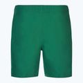Férfi úszónadrág  Nike Essential 7" Volley bicoastal 2
