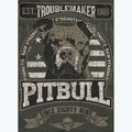 Férfi Pitbull Troublemaker kapucnis pulcsi régi zöld 9