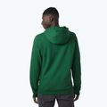 Férfi trekking pulóver Helly Hansen F2F Organic Cotton Hoodie malachite malachite 2
