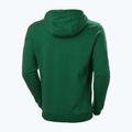 Férfi trekking pulóver Helly Hansen F2F Organic Cotton Hoodie malachite malachite 5