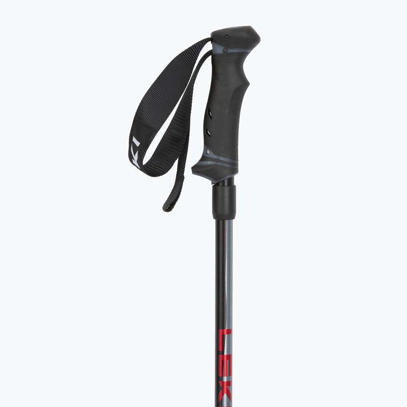 Síbotok LEKI Hot Shot anodized black/eloxal gray/eloxal red 2
