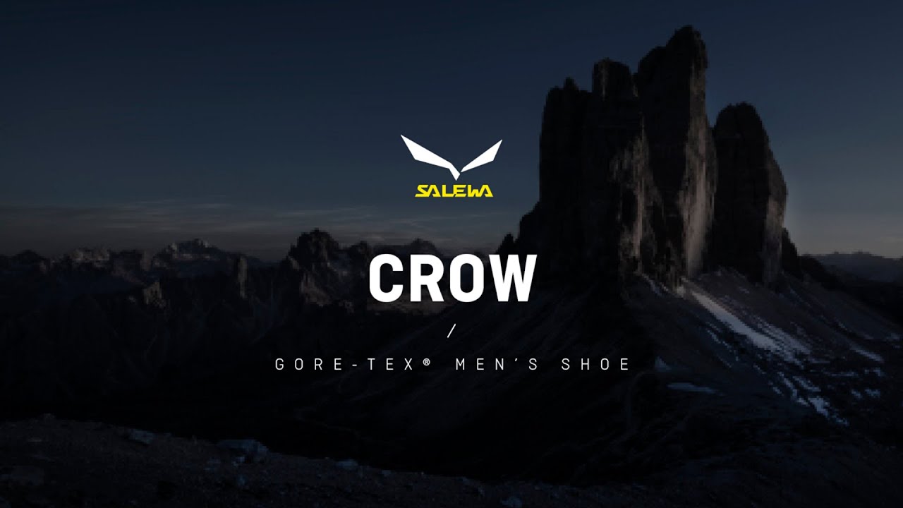 Salewa férfi magas alpesi bakancs Crow GTX barna 00-0000061328