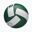 Csapatsportok